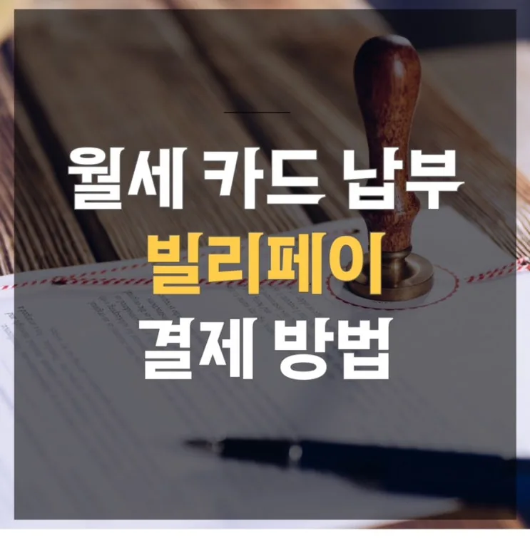 마니모어 후기 대표 이미지