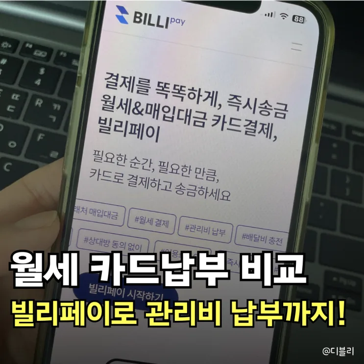 디블리 후기 대표 이미지