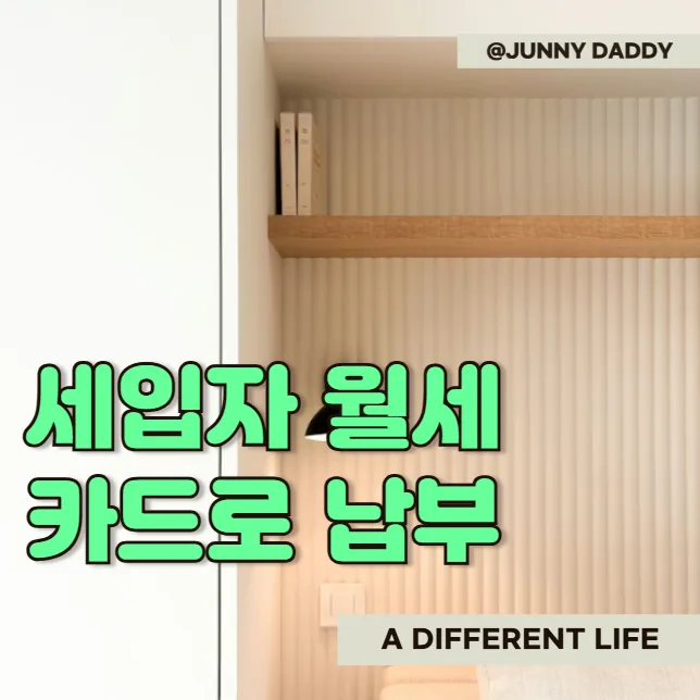 주니대디 후기 대표 이미지